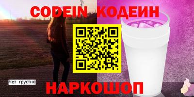 индика Шелехов