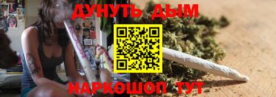 индика Шелехов
