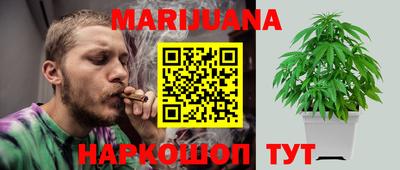 индика Шелехов