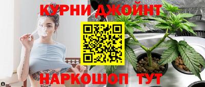 индика Шелехов