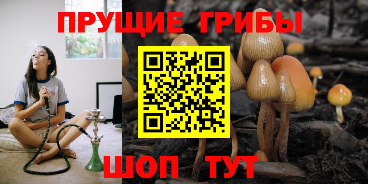 Свободный  наркотики  Вход с VPN  Галлюциногенные грибы Cubensis  Галлюциногенные грибы мухоморы 